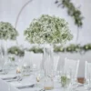 biele chiavari stoličky, prenájom bielych chiavari stoličiek, chiavari stoličky na svadbu, oslavu a iný event, prenájom inventáru